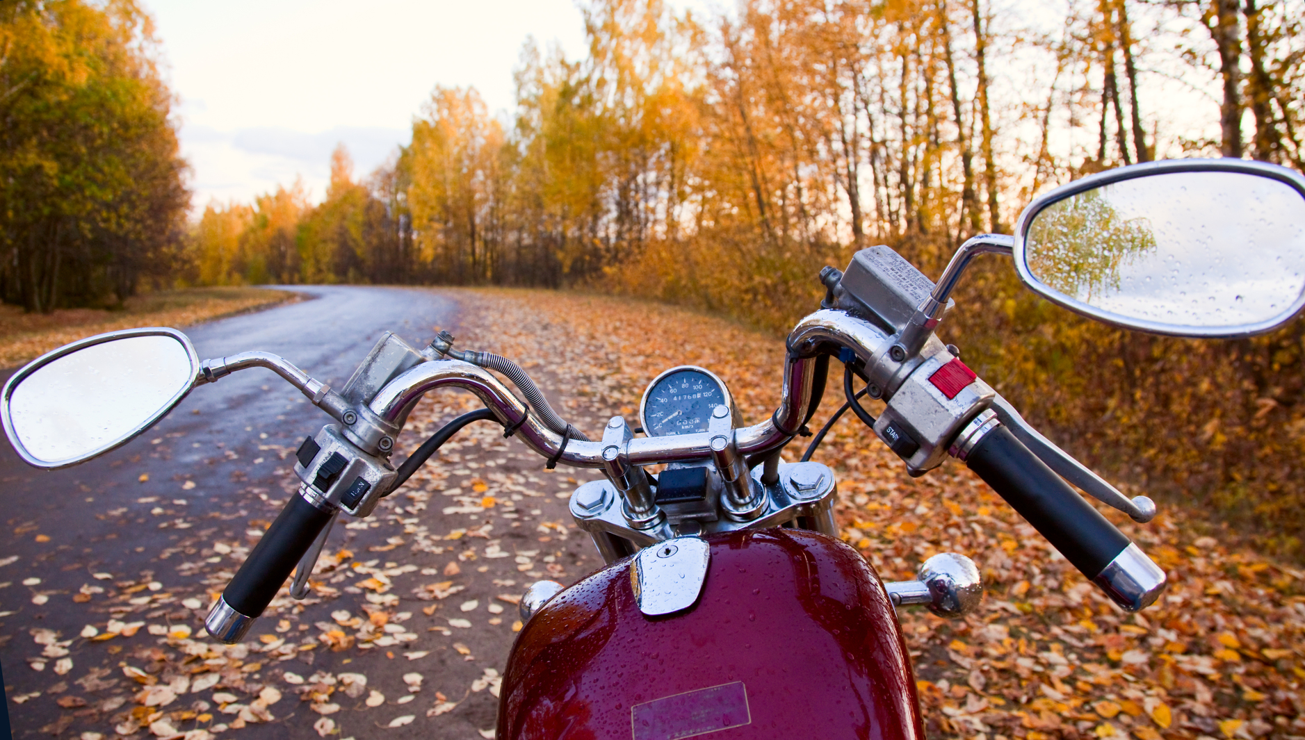 Close-up of motorcycle on road in autumn