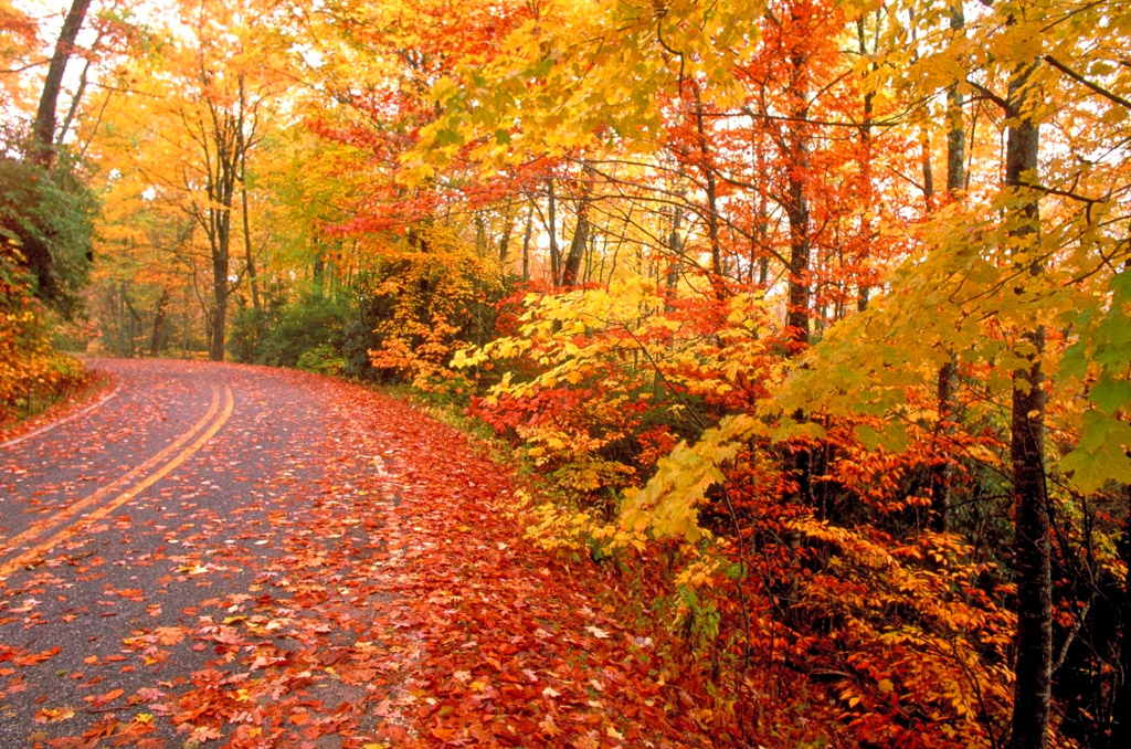 Countdown the Top 5 Reasons to Bike the Ozarks this Fall