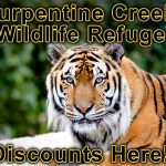 Turpentine Creek Wildlife Refuge